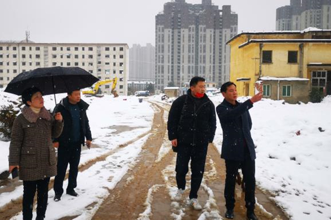 嚴防雨雪冰凍災害 確保征遷地塊安全